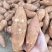红薯龙九红薯现挖现发条形好规格齐全货源充足