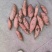 红薯龙九红薯现挖现发条形好规格齐全货源充足