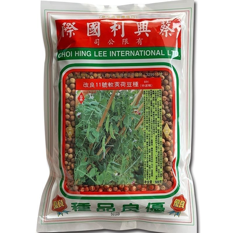 改良11号软荚荷兰豆种子红花清甜脆嫩基地种植