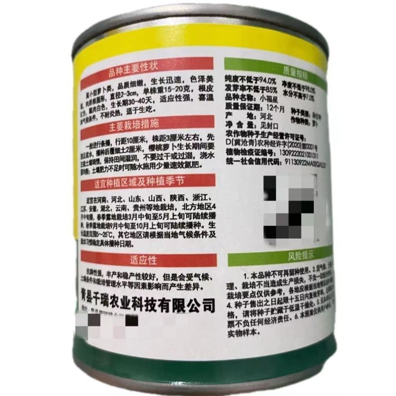 小福星樱桃萝卜种子细嫩脆甜生长快生吃樱桃小萝卜种子