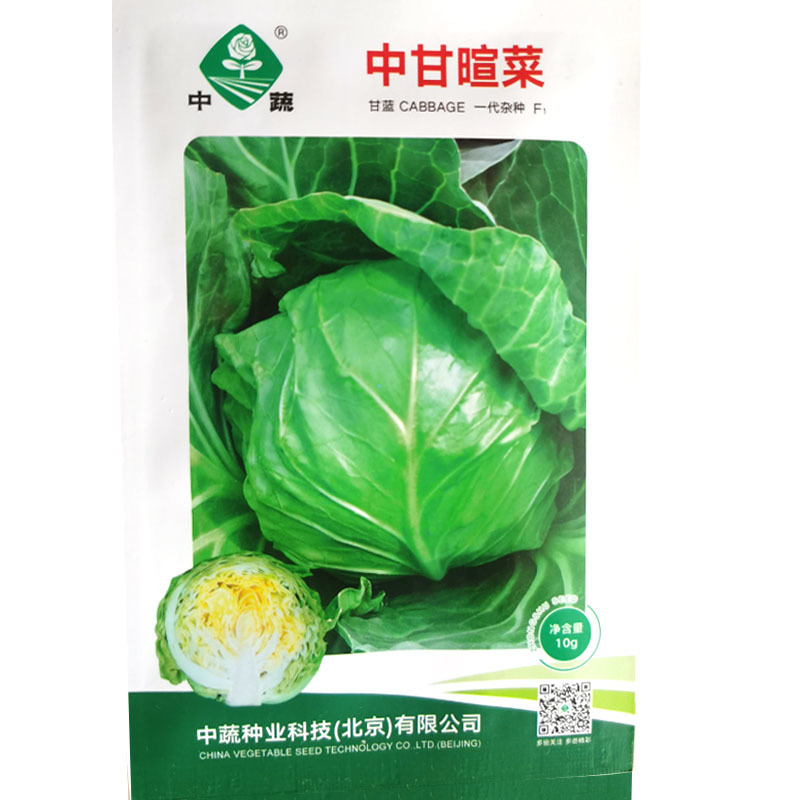 皱叶菜黑乌黑甘蓝种子皱叶甘蓝种籽脆嫩可口沙拉食用
