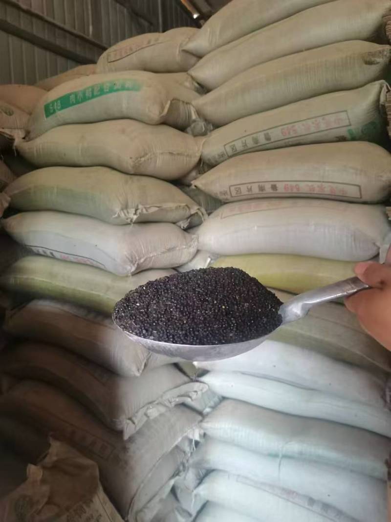 云南大红袍花椒籽全国发货品质保证颗粒饱满价格优惠欢迎来电