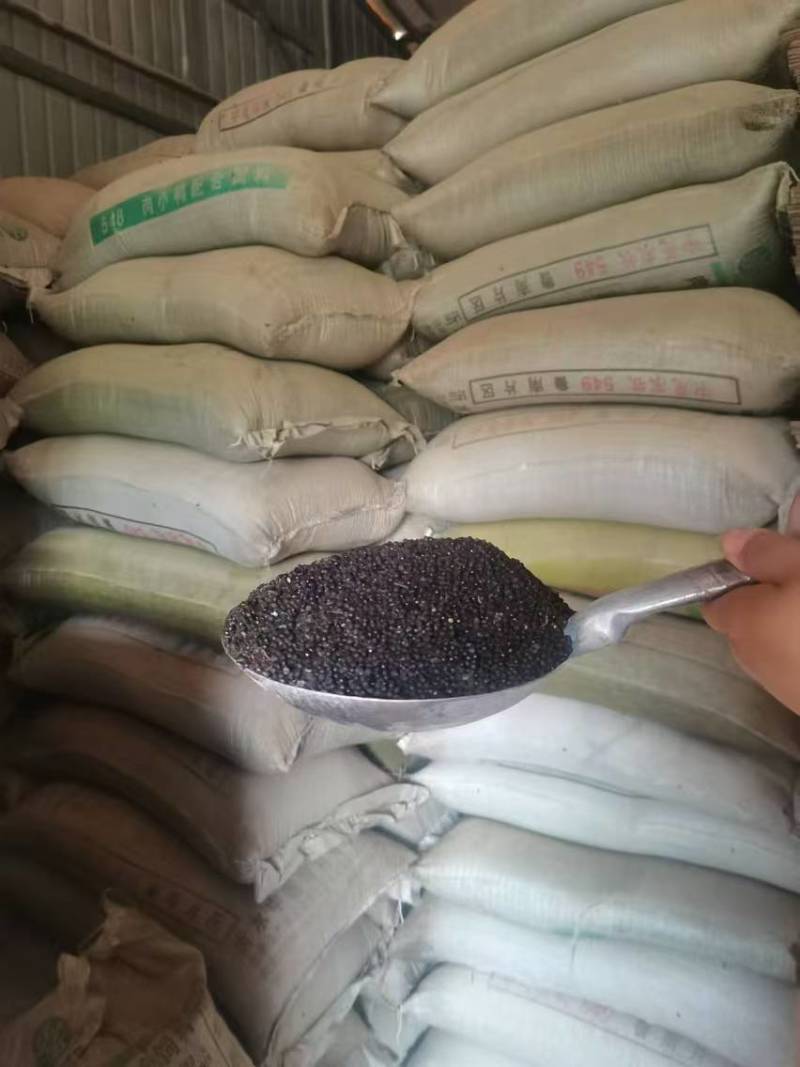 云南大红袍花椒籽全国发货品质保证颗粒饱满价格优惠欢迎来电