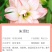 多年生朱顶红球种花卉植物大全四季开花进口重瓣种球盆栽室内