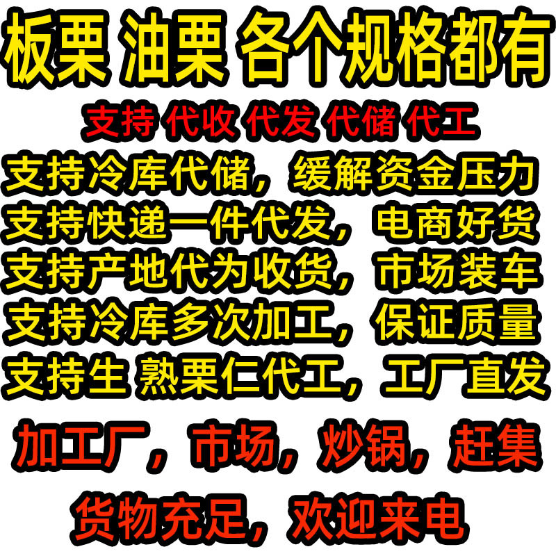油栗板栗炒栗种1包也批发代发产地直发炒板栗炒货油栗子