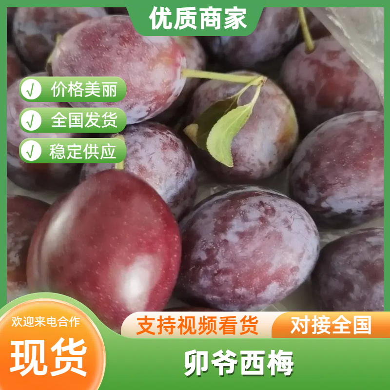 蔚县卯爷西梅种植基地，一手货源，规格齐全可视频看货发全国