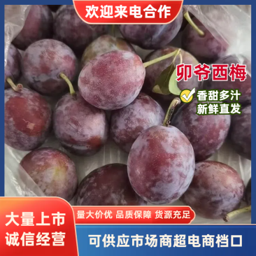 蔚县卯爷西梅大量现货供应自家果园直采，可视频看货欢迎电联
