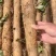 【实力】广西淮山药-现刨现发新鲜发货-产地直发-可对商超