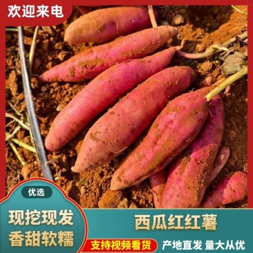 【实力推荐】广西红薯西瓜红，紫薯。-精品货源-高品质-