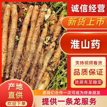 【实力】广西淮山药-现刨现发新鲜发货-产地直发-可对商超