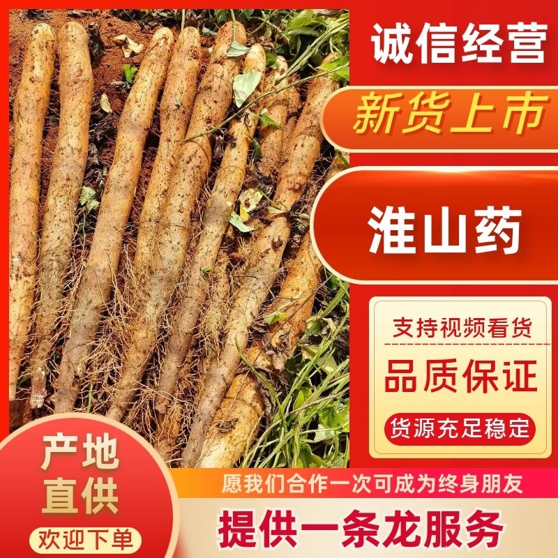 【实力】广西淮山药-现刨现发新鲜发货-产地直发-可对商超