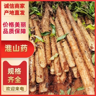 【优选】广西山药-产地直发-价格优惠支持视频看货