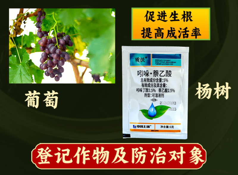 5%吲哚萘乙酸扦插移栽生根专用根系发达调节剂