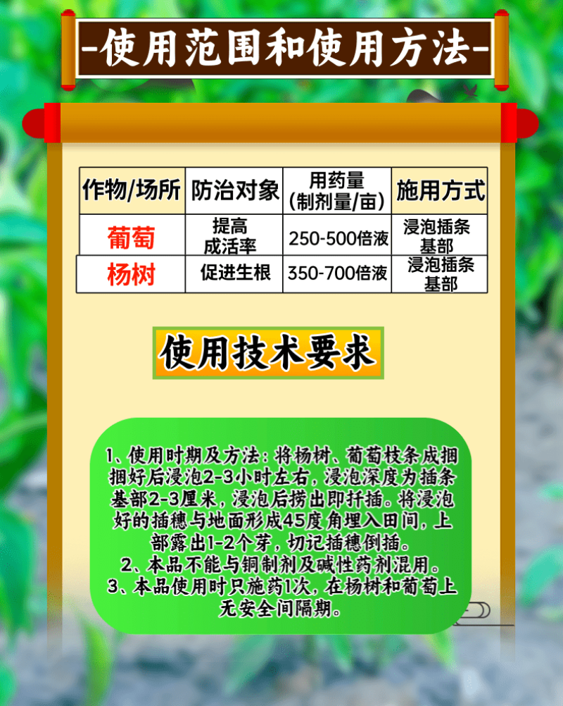 5%吲哚萘乙酸扦插移栽生根专用根系发达调节剂
