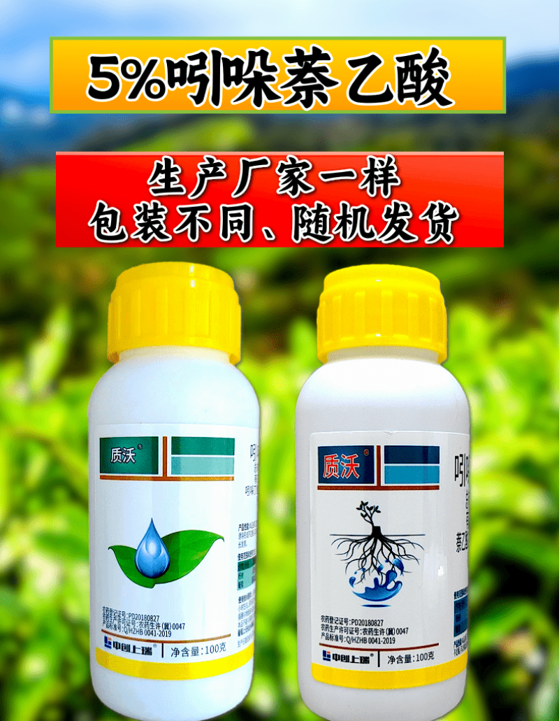 5%吲哚萘乙酸扦插移栽生根专用根系发达调节剂