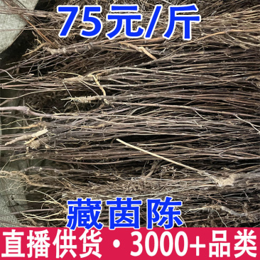藏茵陈西藏茵陈产地货源一件代发