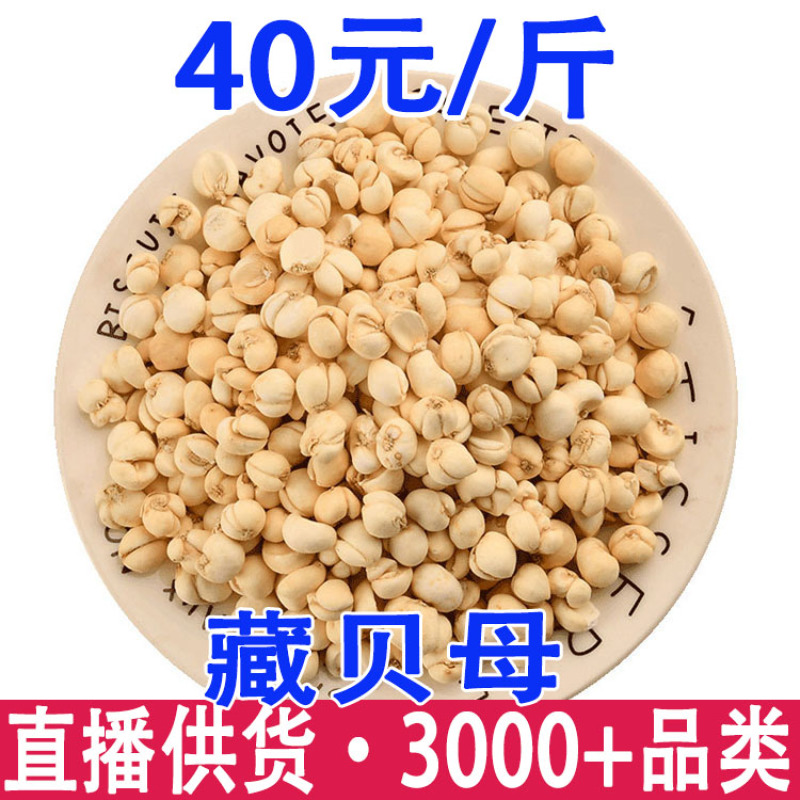 藏贝母西藏土特产藏贝母一件代发量大从优