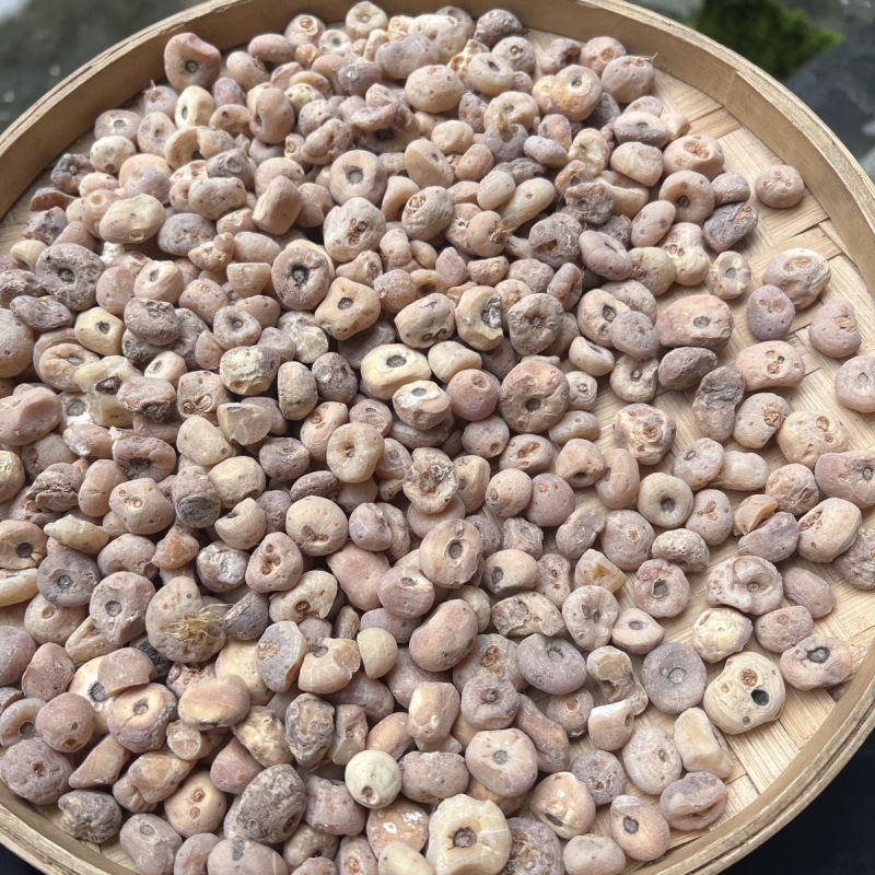 正宗玉皇丹毛慈菇云南材批发量大从优