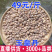 正宗玉皇丹毛慈菇云南材批发量大从优
