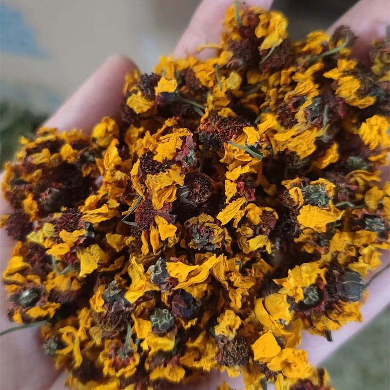 昆仑雪菊雪菊花西藏雪菊花一件代发量大从优