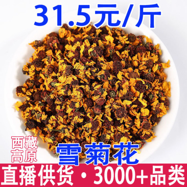 昆仑雪菊雪菊花西藏雪菊花一件代发量大从优