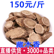 藏木香西藏藏木香产地货源
