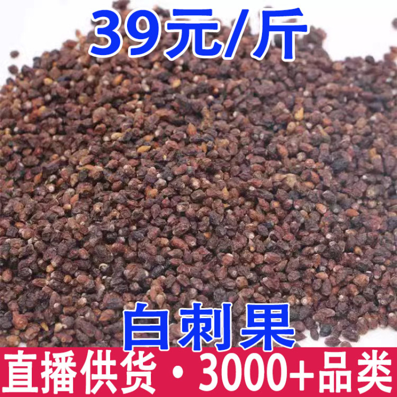 白刺果沙漠樱桃西藏白刺果一件代发量大从优