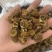 刺梨刺梨干刺梨果源头厂家一件代发