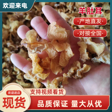 羊肚耳基地之后品种齐全保质保量对接全国商超市场
