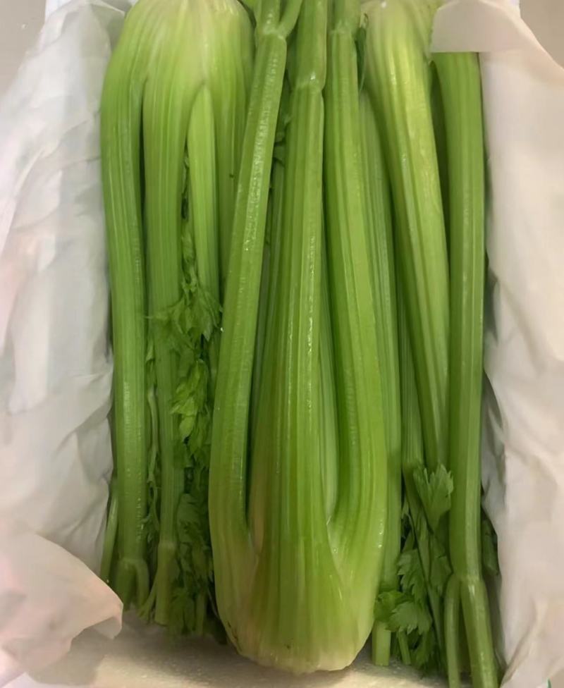 【优选】辽宁芹菜-西芹产地直发-货源充足-价格优惠