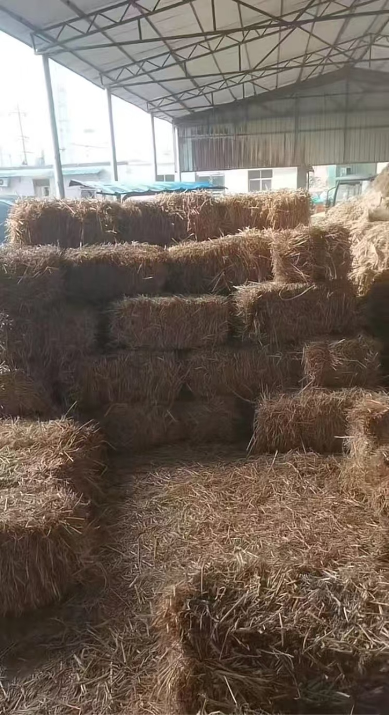 【今日推荐】小麦秸秆小方块品质保证对接全国