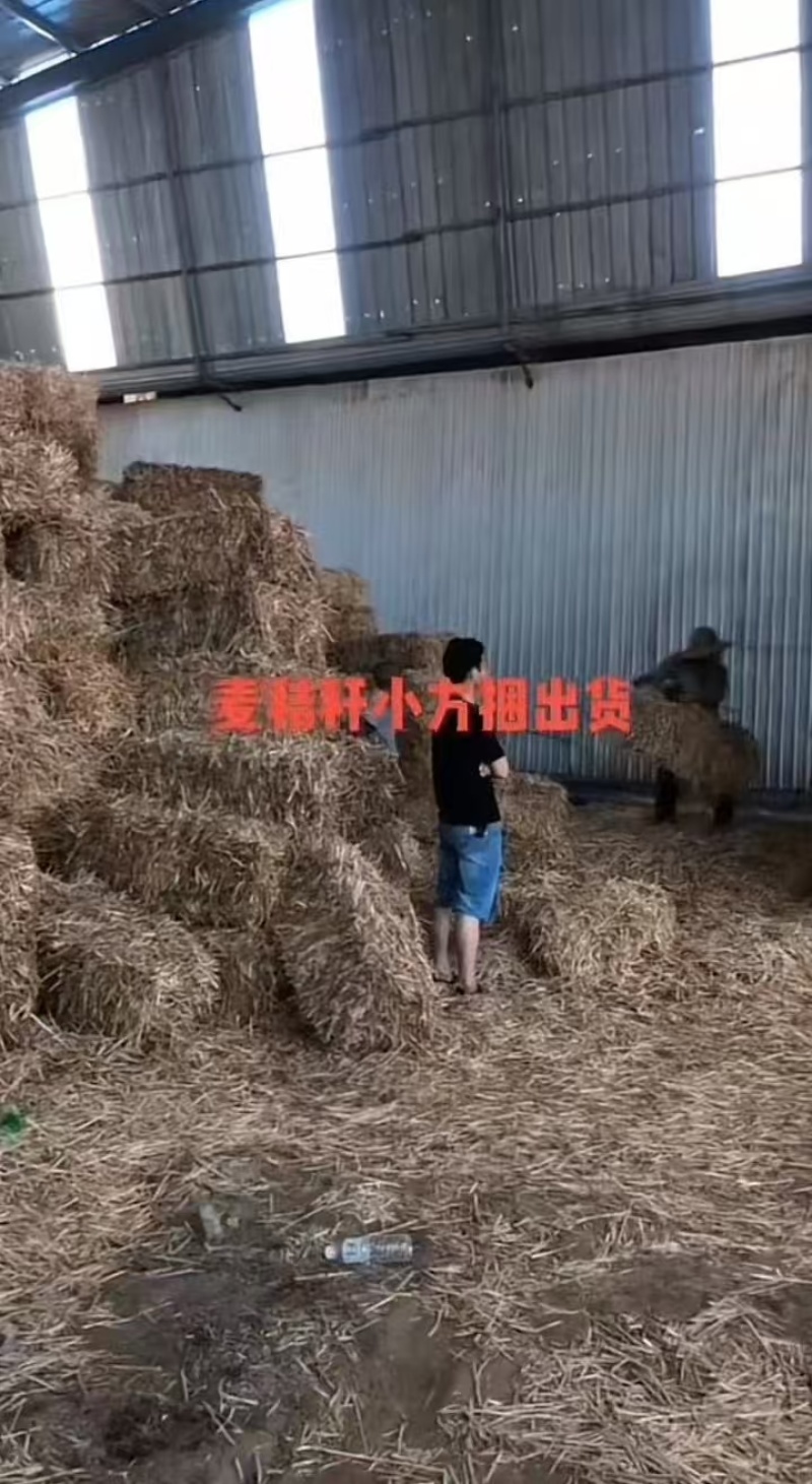 【今日推荐】小麦秸秆小方块品质保证对接全国
