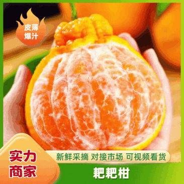 一件代发丑橘落地配皮薄爆汁/香甜无渣量大从优