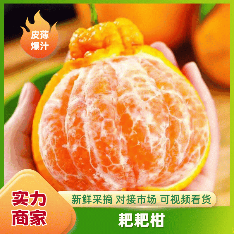 一件代发丑橘落地配皮薄爆汁/香甜无渣量大从优