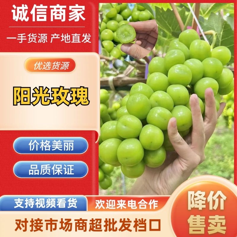 阳光玫瑰串串透亮果园直采足斤足两量大从优