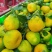 【推荐】湖北精品不知火丑橘精品丑橘产地直发代发全国