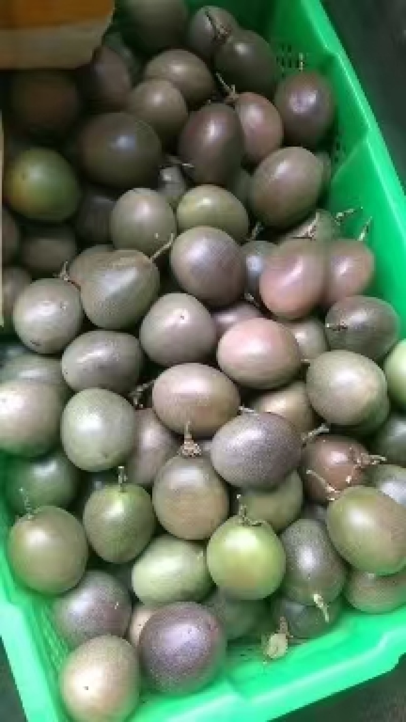 云南精品百香果当季鲜果云南紫皮原浆欢迎咨询