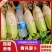 24年12月青萝卜，半青白萝卜，青头萝卜，南韩萝卜