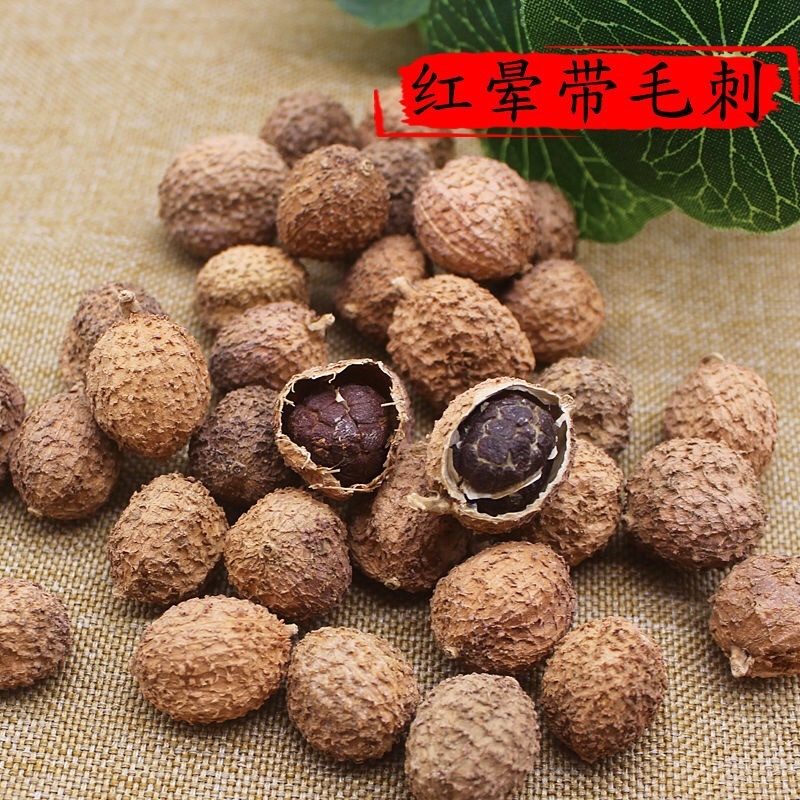 春砂仁干春砂仁批发量大从优