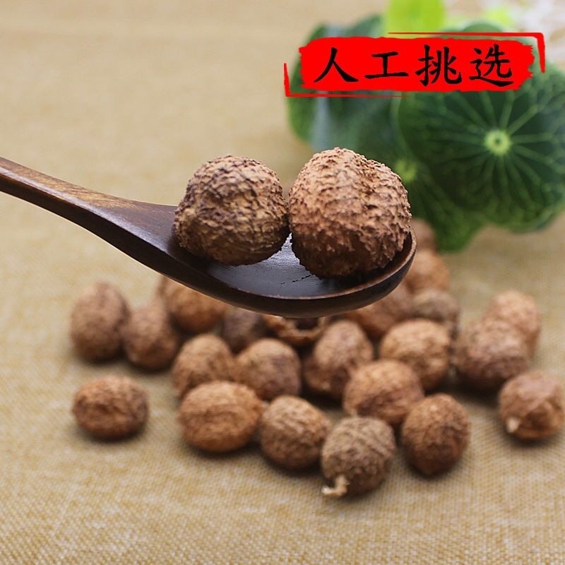 春砂仁干春砂仁批发量大从优