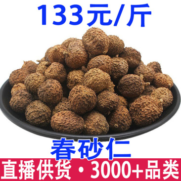 春砂仁干春砂仁批发量大从优