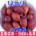 金樱子批发新货