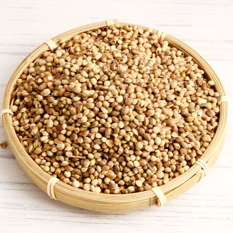 火麻仁火麻子火麻籽产地货源一件代发