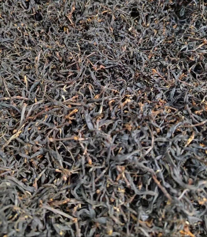 云雾茶昭平红茶产地直发保质保量欢迎咨询