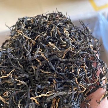 云雾茶昭平红茶产地直发保质保量欢迎咨询