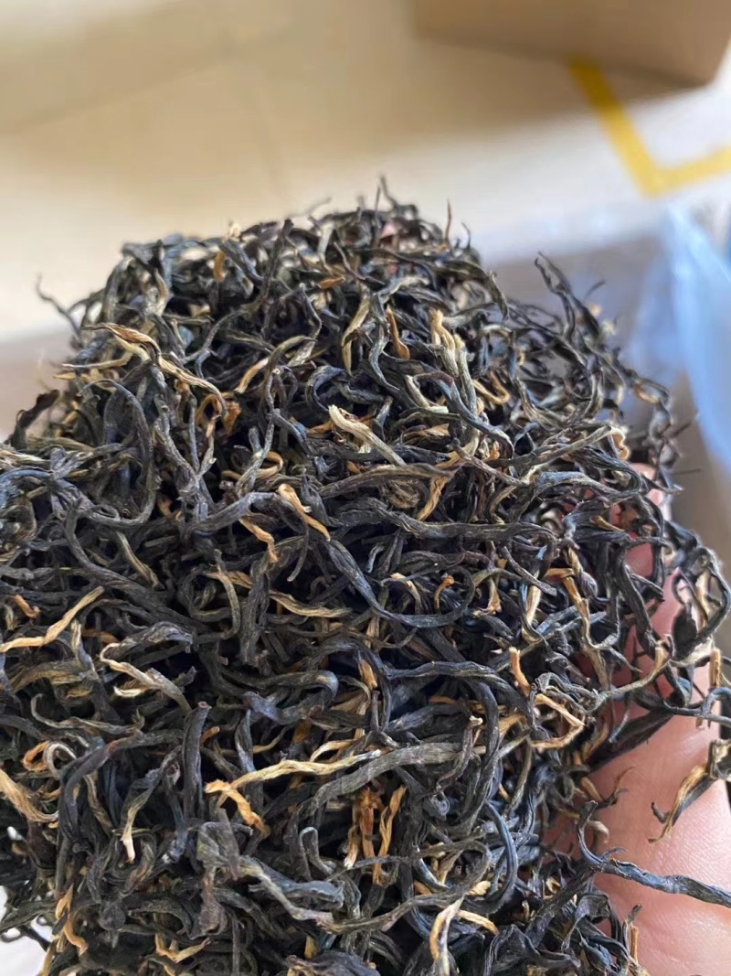 云雾茶昭平红茶产地直发保质保量欢迎咨询