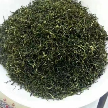 茶高山云雾绿茶昭平绿茶按需包装保质保量
