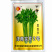 津南实芹2号芹菜种子实心芹小棵芹菜耐抽苔分枝少产量高