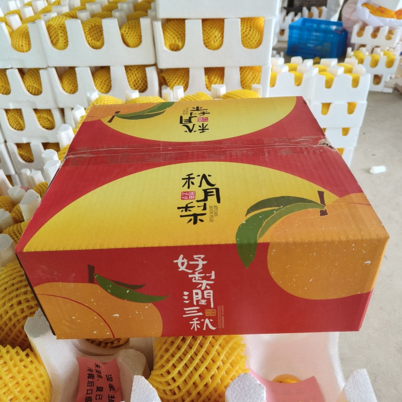 一件代发山东秋月梨中通顺丰纯甜水果礼盒