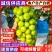 太康阳光玫瑰自家种植品质保证价格优惠量大价优